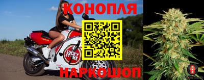 герыч Севастополь
