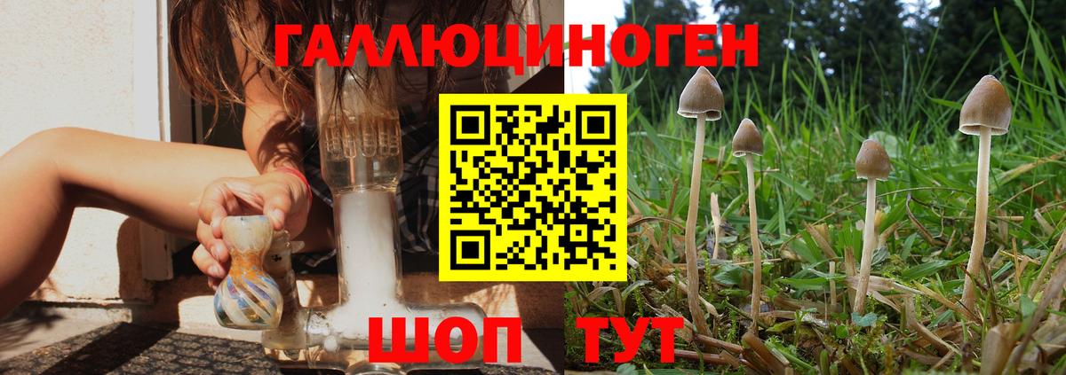 Псилоцибиновые грибы MAGIC MUSHROOMS  Вход с VPN  Ржев 